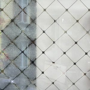 фото декоративное стекло модель «Грация» матовое